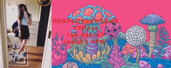 крисы Абинск