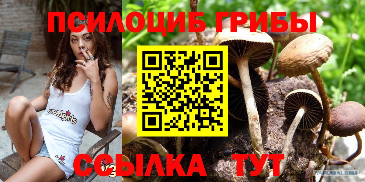 Галлюциногенные грибы Psilocybine cubensis  Галлюциногенные грибы GOLDEN TEACHER  Вход с VPN  Кинель 