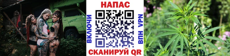 Шишки марихуана SATIVA & INDICA  Кинель 